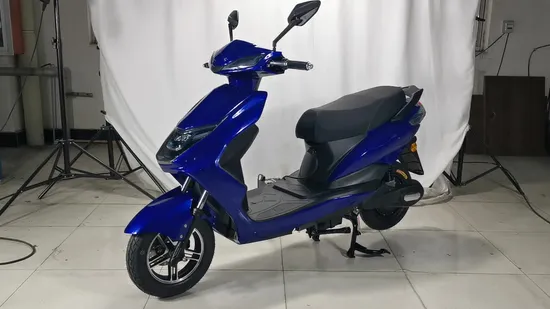 New Fashion Electric Bicycle 1000W 60V Battery Electric Bike/Electric Moped with Pedals