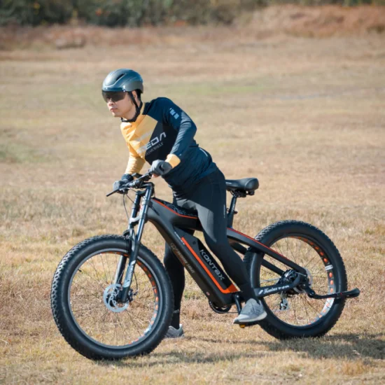 Поддержка Прямая поставка, тонкий дизайн, углеродное волокно, Ebike, электрический велосипед с толстыми шинами, Lectrique, электрический горный велосипед, MTB