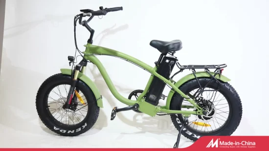 500 Вт/750 Вт Bafun Bafang Motor Fat Tire Mountain Großhandel Elektrofahrrad