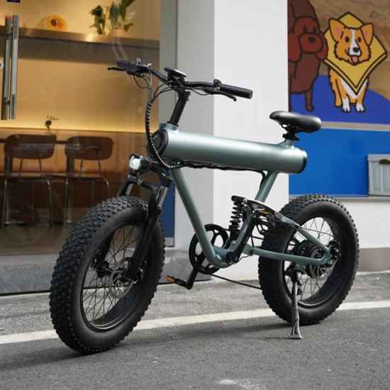 Новый дизайн производителя Fat Tire Ebike с электровелосипедом 10ah 48V 500W